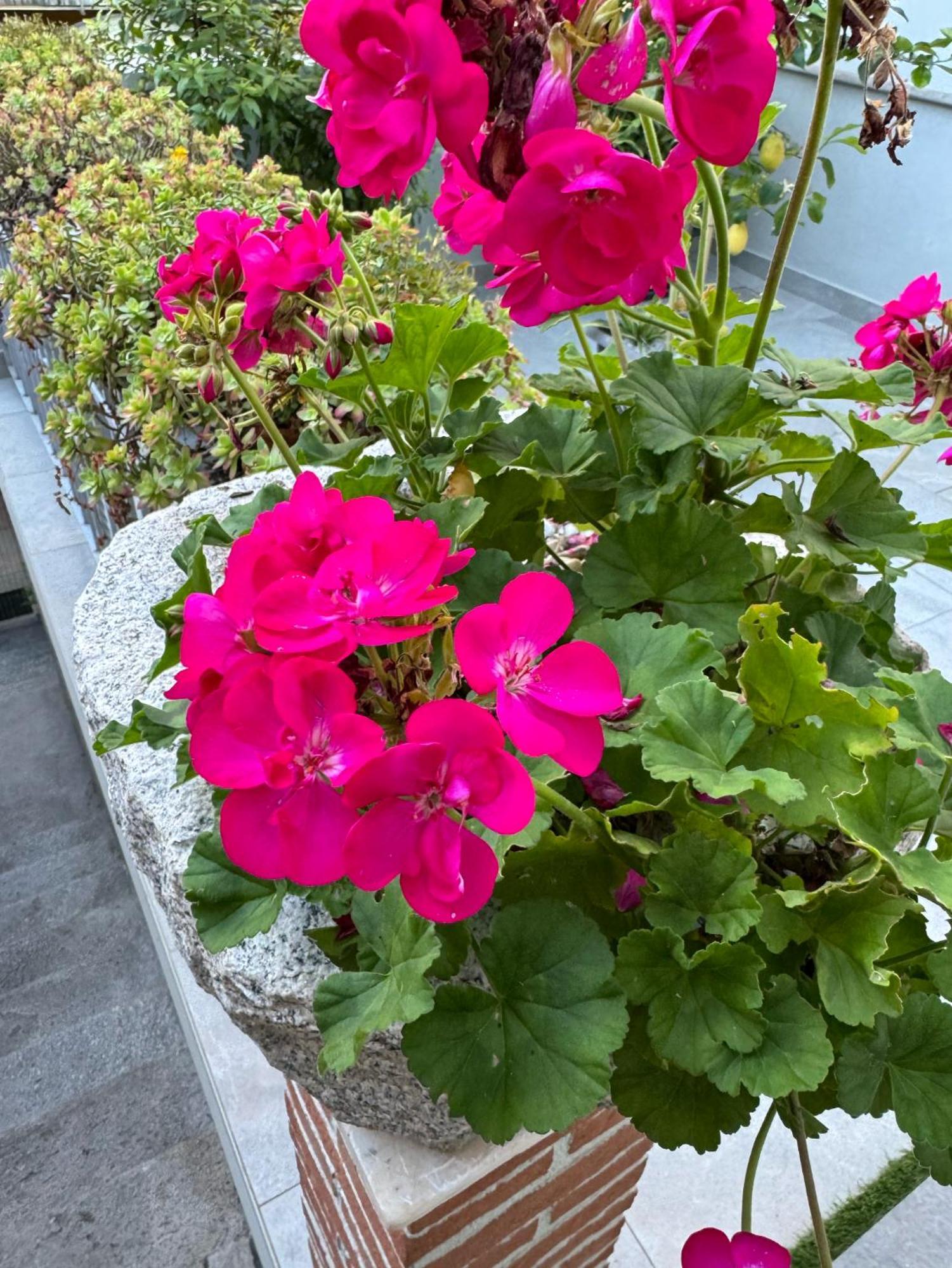 Varese Apartment Екстериор снимка